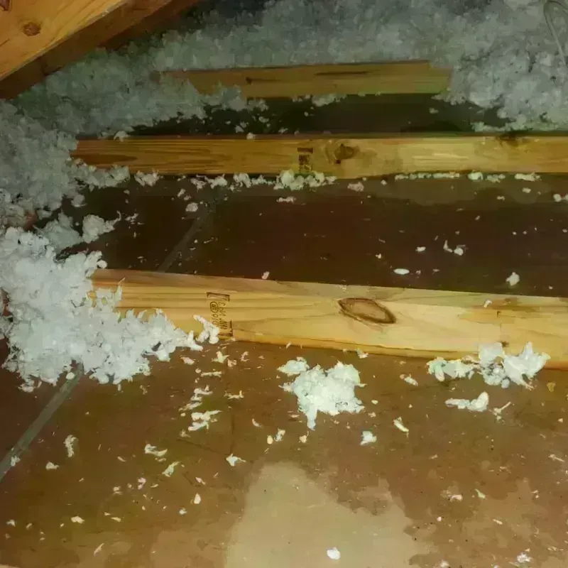 Attic Water Damage in Concordia, MO