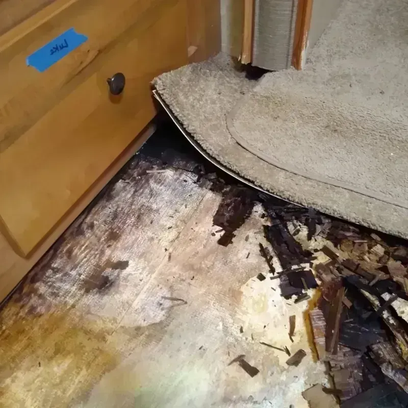 Wood Floor Water Damage in Concordia, MO